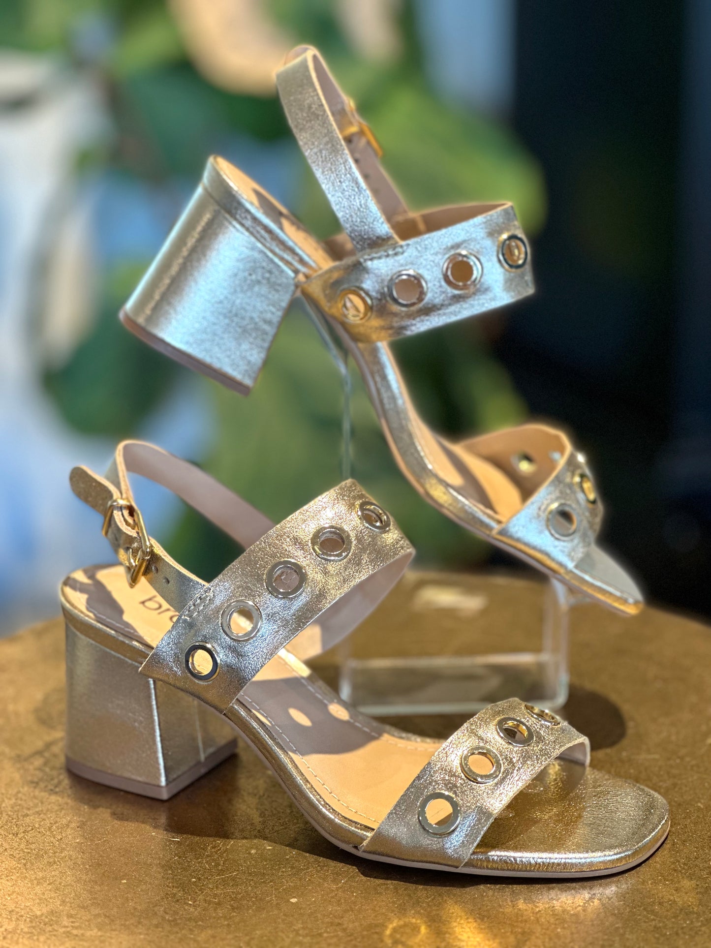 Brazilio Eva Brushed Gold Heel