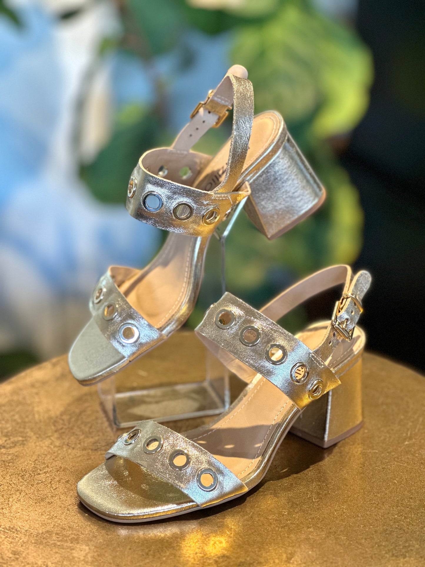Brazilio Eva Brushed Gold Heel