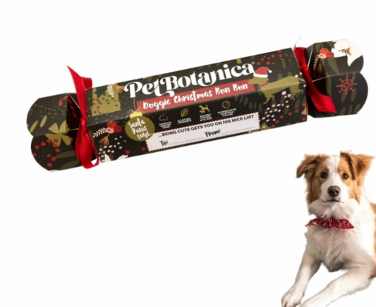 Pet Botanica treats